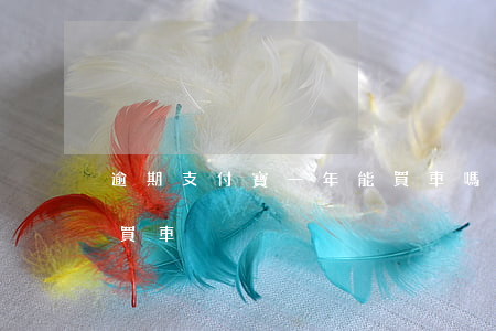 逾期支付寶一年能買車嗎 支付寶逾期能不能買車