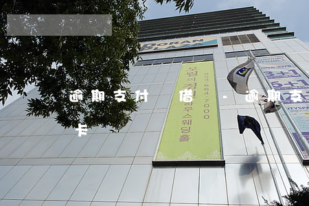 逾期支付寶借唄-逾期支付寶借唄還是信用卡