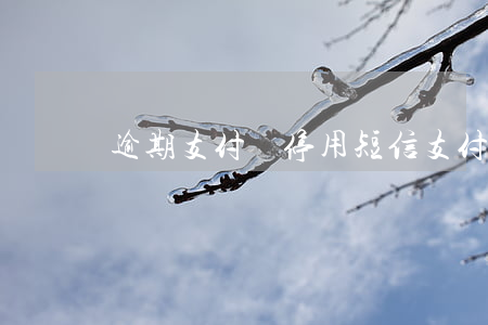 逾期支付寶停用短信(支付寶逾期收到短信)