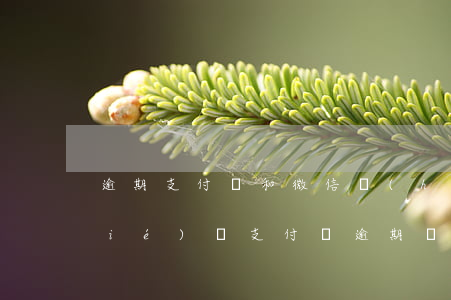 逾期支付寶和微信會(huì)被凍結(jié)嗎(支付寶逾期會(huì)被凍結(jié)微信資產(chǎn)嗎)