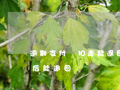 逾期支付寶扣走能退回來嗎(支付寶逾期扣款后能追回嗎?)