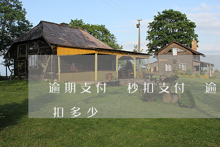 逾期支付寶秒扣(支付寶逾期扣費(fèi)扣多少)
