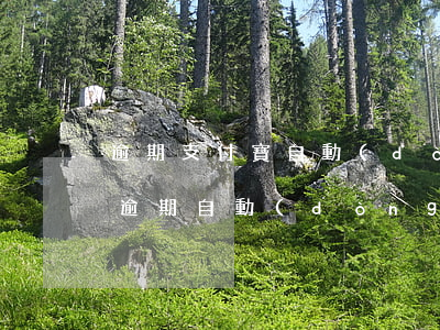 逾期支付寶自動(dòng)扣款嗎(支付寶逾期自動(dòng)扣款怎么設(shè)置不扣款)