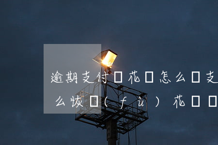 逾期支付寶花唄怎么辦(支付寶花唄逾期了怎么恢復(fù)花唄額度)