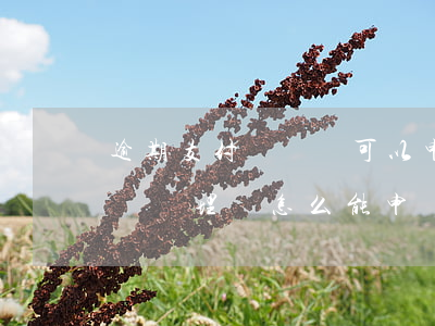 逾期支付寶賬號可以申請理賠嗎-支付寶賬號險理賠怎么能申請成功