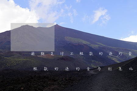 逾期支付工程款的违约金与利息(逾期支付工程款的违约金与利息比例)