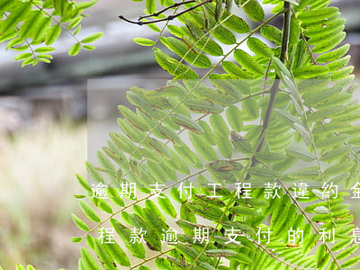 逾期支付工程款違約金如何計(jì)息 工程款逾期支付的利息和違約金怎么計(jì)算