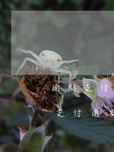 逾期支付工資利息法院網(wǎng)(判決支付逾期利息)