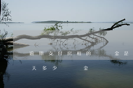 逾期支付房租的滯納金是多少(逾期交房租每天多少滯納金)