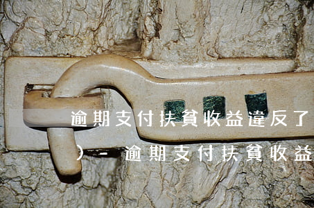 逾期支付扶貧收益違反了哪個法規(guī)-逾期支付扶貧收益違反了哪個法規(guī)規(guī)定