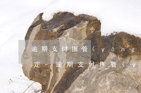 逾期支付撫養(yǎng)費違約金怎么約定-逾期支付撫養(yǎng)費違約金怎么約定的