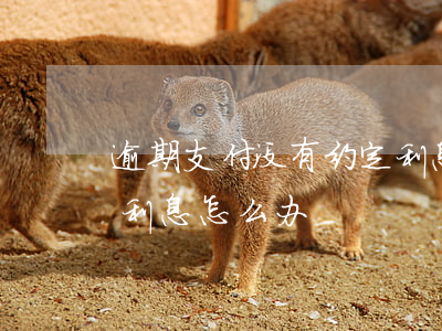 逾期支付没有约定利息-逾期支付没有约定利息怎么办