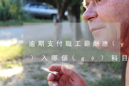 逾期支付職工薪酬應(yīng)計(jì)入哪個(gè)科目-逾期支付職工薪酬應(yīng)計(jì)入哪個(gè)科目里