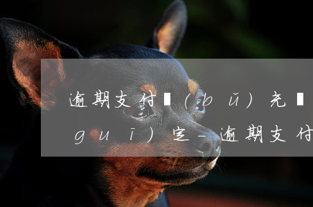 逾期支付補(bǔ)充條款怎么跟甲方規(guī)定-逾期支付補(bǔ)充條款怎么跟甲方規(guī)定不一樣