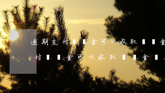 逾期支付補償金可以收取滯納金嗎-逾期支付補償金可以收取滯納金嗎合法嗎