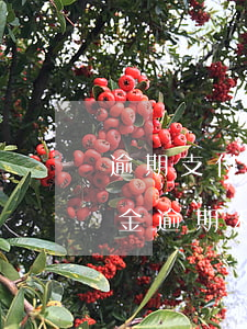 逾期支付賠償金能否主張利息（法院判的賠償金逾期利息）