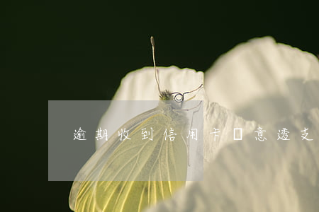 逾期收到信用卡惡意透支短信