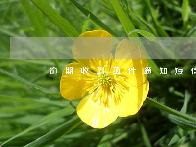 逾期收到函件通知短信