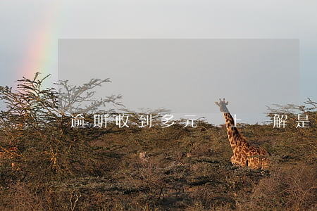 逾期收到多元網上調解是真是假-