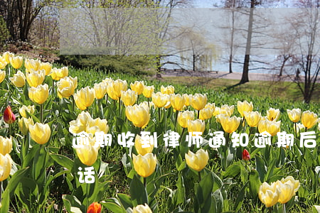 逾期收到律师通知(逾期后接到律师事务所电话)