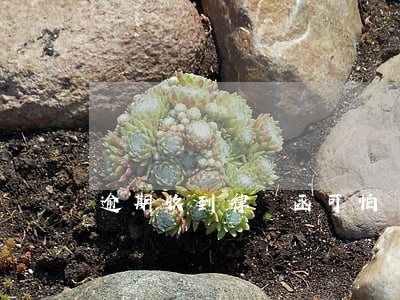 逾期收到律師函可怕嗎(逾期收到律師函可怕嗎)