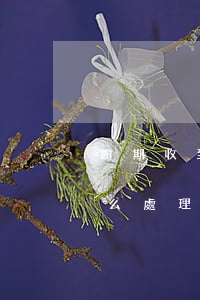 逾期收到律師函怎么處理(逾期收到律師函怎么處理)