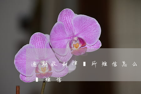 逾期收到律師所短信怎么辦 貸款逾期收到律師短信