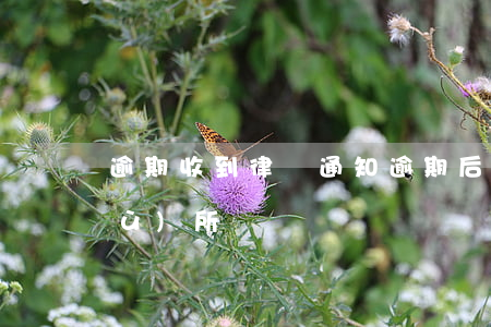逾期收到律師通知(逾期后接到律師事務(wù)所電話)