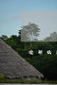 逾期收到律師開庭通知(逾期收到律師函)