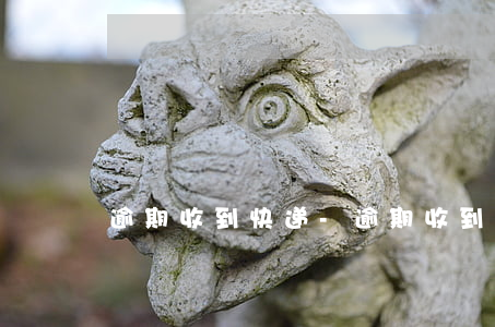 逾期收到快递-逾期收到快递 包装
