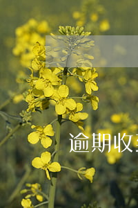 逾期收到法訴通知(逾期提起訴訟)