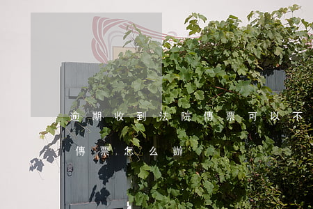 逾期收到法院傳票可以不去嗎 逾期接到法院傳票怎么辦