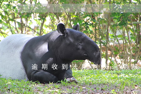 逾期收到法院判決(逾期被起訴多久判決)