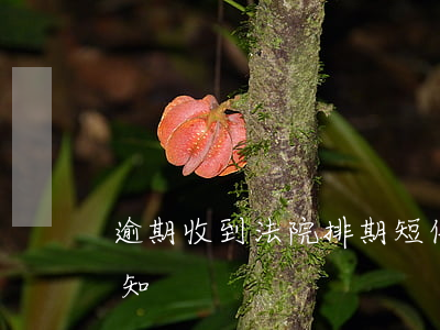 逾期收到法院排期短信(逾期收到短信法訴通知)