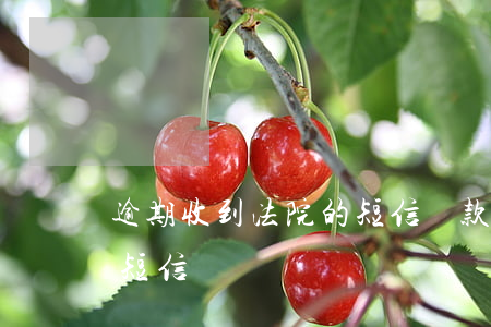 逾期收到法院的短信(貸款逾期收到法院開庭短信)