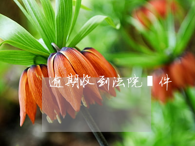 逾期收到法院郵件