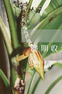 逾期收到短信法訴通知（收到朋友逾期起訴的短信）