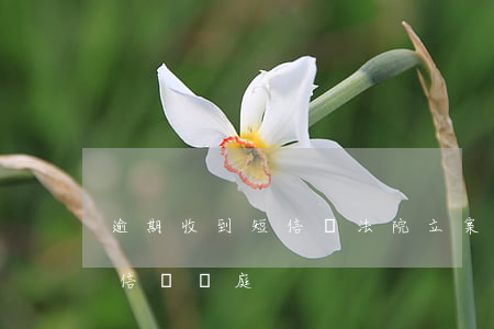 逾期收到短信說法院立案是真是假(逾期發短信說開庭)