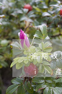 逾期收到短信說要凍結(jié)財(cái)產(chǎn)起訴(催收發(fā)短信要凍結(jié)我財(cái)產(chǎn))