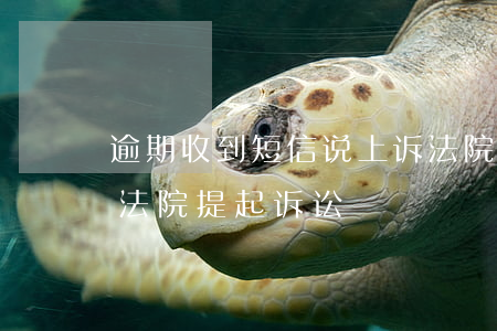 逾期收到短信说上诉法院-短信发说已经向法院提起诉讼