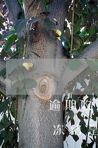 逾期收到短信说什么冻结是真的吗-逾期已冻结是什么意思