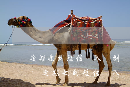 逾期收到短信進入強制執(zhí)行階段-逾期收到短信進入強制執(zhí)行階段是真的嗎