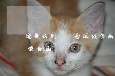 逾期收到螞蟻金服催告函（逾期收到螞蟻金服催告函）