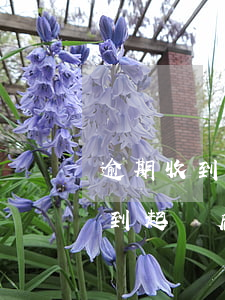 逾期收到起訴后多久執(zhí)行 逾期收到起訴后多久執(zhí)行
