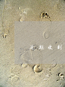 逾期收到起訴書 逾期提交上訴狀