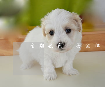 逾期收到陜西的律師函