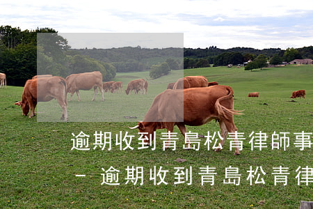 逾期收到青島松青律師事務(wù)所短信-逾期收到青島松青律師事務(wù)所短信是真的嗎