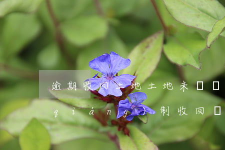 逾期收回土地(土地未開發(fā)到期強(qiáng)制收回條件)