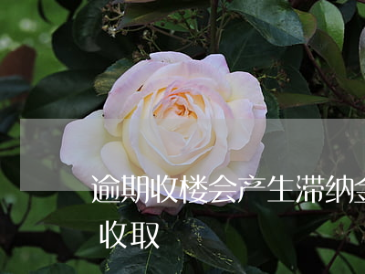 逾期收楼会产生滞纳金吗(滞纳金逾期后怎么收取)