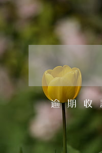 逾期收款會被起訴嗎(欠款逾期被起訴后果)